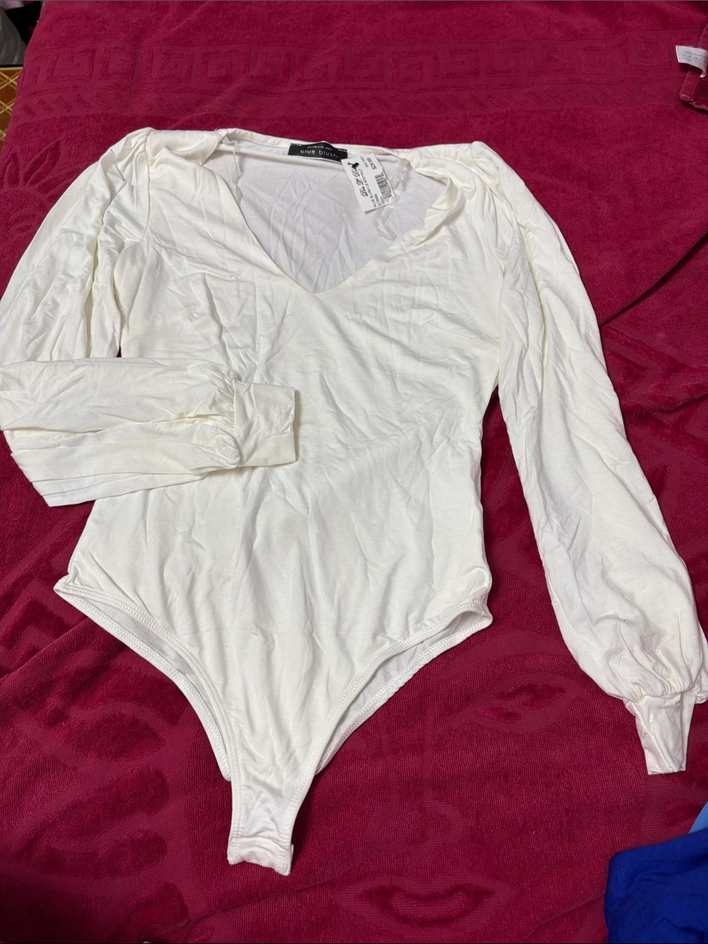 Blue Blush White Long Sleeve V-Neck Bodysuit
